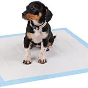 lionto Welpenunterlage Trainingspads Hygieneunterlage für Hunde auslaufsicher 6-lagig, 60×60 cm, 50 STK.