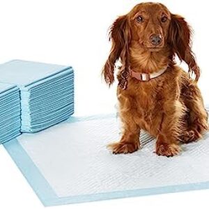 Amazon Basics Trainingspads für Hunde und Welpen, auslaufsicheres 5-lagiges Design mit schnell trocknender Oberfläche, Normal (50Stück), Blau
