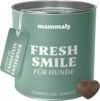mammaly für Hunde Fresh Smile Zahnpflege Snack, Zahnpflege Hund, gegen Hund Mundgeruch, Fressnapf Innovation Award – ca. 90 Snacks