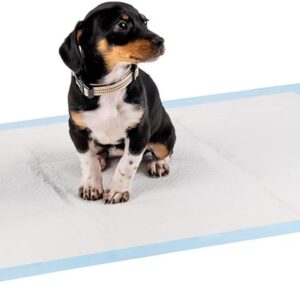 lionto Welpenunterlagen, 6-lagige Trainingspads für Hunde mit Klebestreifen, 50 Stück 60×90 cm, auslaufsicher und strapazierfähig Dank hoher Saugfähigkeit für kranke und inkontinente Tiere, blau/weiß
