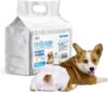 SMELL & SMILE Einweg-Windeln für Hunde, Hunde, Weiblich, Gesundheitswindel für Hunde, Haustiere, Hygiene-Höschen, weich, saugfähig, Größe M