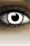 FXCONTACTS Farbige Kontaktlinsen Halloween weiß VAMPIR, 2 Stück (1 Paar), Ohne Sehstärke