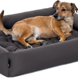 Pointer | Hundebett Mittelgroße Hunde – Orthopädisches Hundebett mit Herausnehmbarer Matratze, Waschbar bis 95°C, Trocknergeeignet, Kratzfest & Bissfest, Made in Germany (XL – 90×80 cm, Anthrazit)