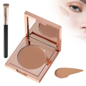 CC Undereye Corrector, 2025 Neu Augenpflege Concealer, Full Cover Concealer Mittlere Deckkraft Under Eye Brightener Wasserdicht Abdeckstift für Augenring Makelloses Aussehen (01# Natürliche, 2.2g)