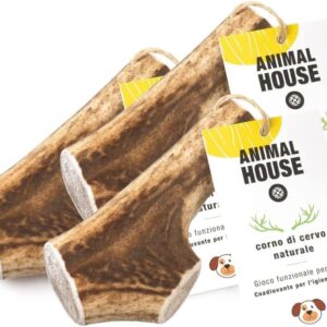 Animal House 3 Stück ganze Hirschgeweihe für Hunde, 100% natürliches Kauspielzeug, stärkt die Mundhygiene, widerstandsfähig und langlebig, in Allen Größen erhältlich (3, L)