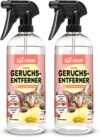 bio-chem Katzen Geruchsentferner Spray 2x 750 ml – Enzymreiniger mit Mikroorganismen – Geruchsneutralisierer gegen Katzenurin Geruch – Entfernt Gerüche aus Sofa, Teppich, Polster – Made in DE