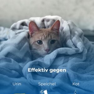 PI-Solve Kraftvolles Katzen- und Hundeurin-Entfernungsspray | 750 ML | Kompletter Geruchs- und Fleckenentferner mit Zitrusduft, verhindert erneute Verschmutzung, sicher für alle Oberflächen