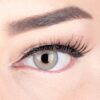Sehr stark deckende und natürliche Graue Kontaktlinsen SILIKON COMFORT NEUHEIT farbig ‚Elly Gray‘ + Behälter von GLAMLENS – 1 Paar (2 Stück) – DIA 14 mm – ohne Stärke 0.00