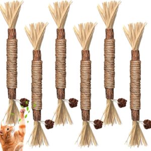 Katzenminze Sticks,6 Stück Katzenminze Sticks, Kausticks für Katzen, Katzen Zahnpflege Spielzeug, Dental Kau-Sticks helfen bei Zahnstein & Mundgeruch Gesund Hygiene Zahnpflege