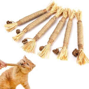 NAMIX 6 Stück Katzenminze Sticks, Katzensticks Zur Zahnreinigung,Katzen Zahnpflege Spielzeug,Dental Kau-Sticks helfen bei Zahnstein & Mundgeruch Gesund Hygiene Zahnpflege