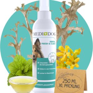MEDIDOG Dental Fresh & Clean Dentalspray – XL Packung mit 250 ml – Zahnpflege für Hunde – Zahnsteinvorbeugung – frischer Atem