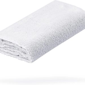 detailmate Poliertuch Ultra weich | Premium Autopflege Zubehör – außen & innen | Lack Politur & Pflege, Innenraum, Felgen | Microfasertuch weiß 40x40cm, 550 GSM – randlos & fusselfrei, Keine Kratzer