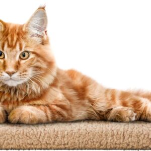 Katzen Fensterliege Fensterbank rutschfest – Katzenbett Fensterbank 60×20 cm – Weich & Kuschelig – Fensterliege für Katzen Selbstheizende Katzendecke – Waschbarer Bezug (Beige)