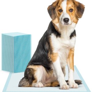 100x ARNOMED Welpen Unterlagen, Welpen Zubehör, auslaufsicheres Hundeklo in 60x90cm, Hundezubehör für kleine Hunde, Einweg Welpenunterlagen saugfähig, 5-lagige Pipi Matten für Hunde, Puppy Pads