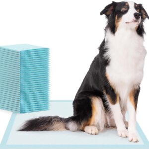 30x ARNOMED Welpen Unterlagen, Welpen Zubehör, 5-lagige Trainingspads für Hunde in 90x60cm, auslaufsichere Pipi Matten für Hunde, Puppy Pads absorbierend, Welpentoilette, Hundezubehör für kleine Hunde