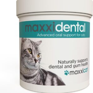 maxxipaws maxxidental Zahnfleisch & Zahnpflege für Katzen – Fortgeschrittene Nahrungsergänzung in Pulverform, 90g