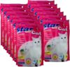 Star Cat Silikat Hygiene Katzenstreu vom PowerCat Hersteller 12x 5L (60L) mit Magic Power Clean Crystals absorbiert Urin in Sekundenschnelle und wirkt antibakteriell