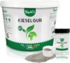 BeyEco® Kieselgur-Pulver für Nutztiere und Haustiere I mehr Hygiene, 100% graue Kieselgur für Hühnerstall Garten Wohnung, Hühner Katzen Hunde und mehr, ökologisch & extra effektiv (2.5, Kilogramm)