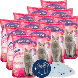 Lyra Pet® | 12 x 5 L = 60 L Lyra Power Silica Silikat Katzenstreu + Geschenk | 100% Kieselgel | Keine Klumpenbildung | Neutralisiert den Geruch | Staubfrei & Unparfümiert | Hygienisch & Saugstark