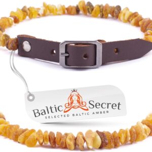 Bernsteinkette Hund | Verstellbares Bernsteinhalsband für Hunde & Katzen mit Lederband | Hundehalsband