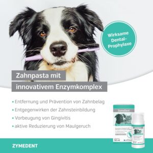 alfavet Zymedent, Enzymatische Zahnpasta bei Plaque, Zahnstein, Maulgeruch und Zahnfleischentzündung, von 1-4 kg