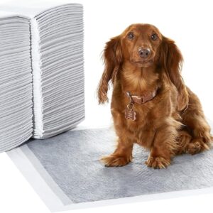 Amazon Basics Trainingspads für Hunde und Welpen mit Kohlenstoff zur Geruchskontrolle, auslaufsicheres Design mit schnell trocknender Oberfläche, Normal (120 Stück), Grau