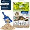 COSYCAT Klumpendes Bio-Katzenstreu aus Holz [100% Natürlich] – in der Toilette entsorgbar – Klumpstreu pflanzlich – Holzstreu (FEIN, 10 l (1 x 10 l))