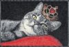 wash+dry Fußmatte, Royal Cat 50×75 cm, innen und außen, waschbar