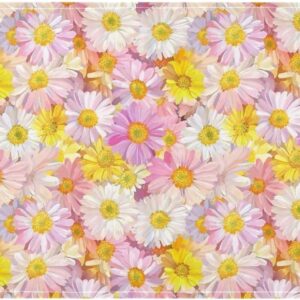 Farbige Ölgemälde-Feeling Gänseblümchen Spitzenrand Waschtrockner Abdeckung mit Seitentasche, staubdichte Wasch- und Trocknerabdeckungen für die meisten Waschmaschinen oder Trockner, 130 x 55,9 cm