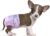 Flying Paws Einwegwindeln für Hunde, geeignet für Hunde und Katzen, verstellbare Einwegwindeln von 10–40 Stück (XXS-40 Stück)