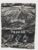 Allesverpackt 1000 Beutel Hundekotbeutel/Hundetasche 20 x 31 cm 3 cm, 100er Set