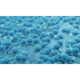 Das älteste Organ in Ihrem Mund ist nicht das, was Sie denken